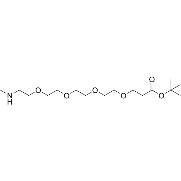 Methylamino-PEG4-t-butyl ester 1621616-14-5